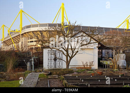 Spécial jardin en face de stade de football Signal Iduna Park de BVB, Dortmund, Allemagne Banque D'Images