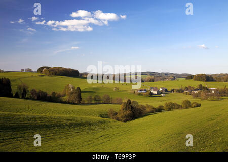 Paysage vallonné de l'Oberbergisches Land au printemps, Düsseldorf, Rhénanie du Nord-Westphalie, Allemagne Banque D'Images