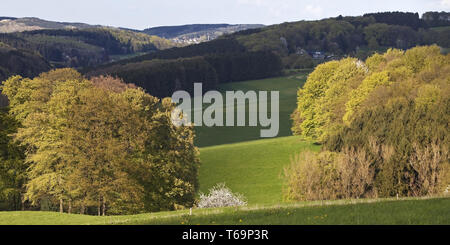 Paysage vallonné de l'Oberbergisches Land au printemps, Düsseldorf, Rhénanie du Nord-Westphalie, Allemagne Banque D'Images