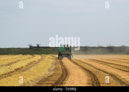 Moissonneuses-batteuses Don. Les machines agricoles. Banque D'Images