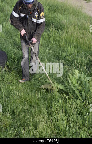 Le fauchage de l'herbe verte à l'aide d'une ligne de pêche fraise Banque D'Images