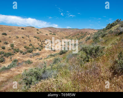 Faille de San Andreas à Wallace Creek Trail, Carizzo Plain Monument National le jour de printemps ensoleillé, comté de Kern, en Californie, la Vallée Centrale Banque D'Images