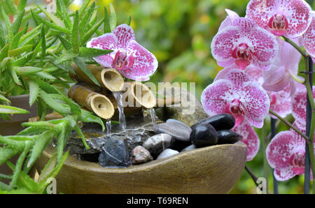 Belle orchidée et petite fontaine dans un jardin Banque D'Images