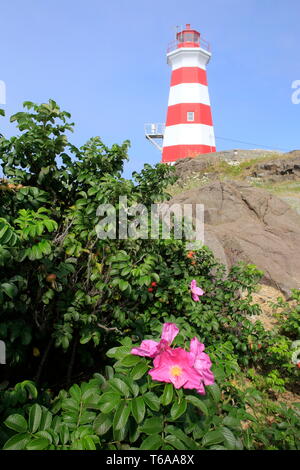 Une jeune femme à la recherche d'un phare avec des jumelles Banque D'Images