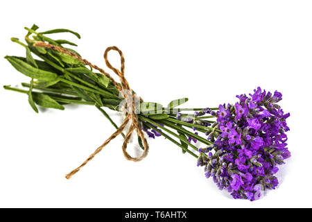 Bouquet de fleurs de lavande sauvage violet dans la rosée et à égalité avec l'arc, isolated on white Banque D'Images