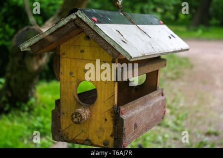 Yello maison d'oiseau dans un jardin luxuriant Banque D'Images