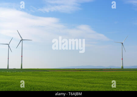 Pré vert avec des éoliennes produisant de l'électricité Banque D'Images