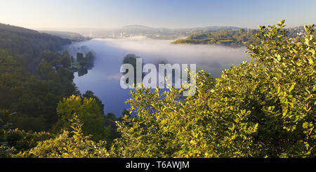 Matin brouillard dans la vallée de la Ruhr en automne, Witten, Ruhr, Rhénanie du Nord-Westphalie, Allemagne Banque D'Images