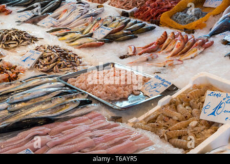 Poissons et fruits de mer frais à la vente à la Vucciria market à Palerme, Sicile Banque D'Images