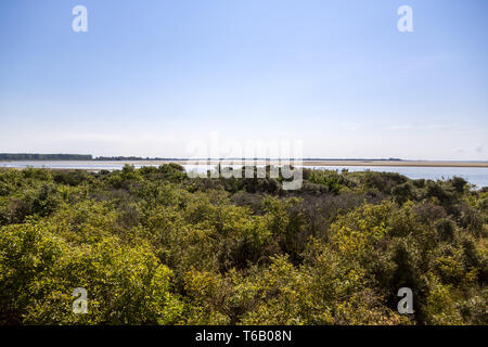 Paysage à l'île de Hiddensee Banque D'Images