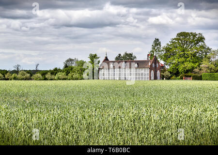 Woerlitzer Park : green house avec domaine en été Banque D'Images