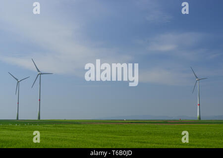 Pré vert avec des éoliennes produisant de l'électricité Banque D'Images