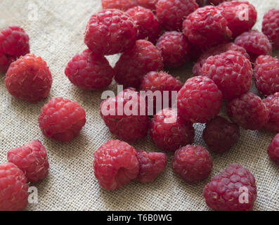 Dispersion des framboises fraîches sur un fond de tissu Banque D'Images