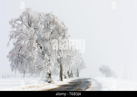 Campagne d'hiver route en milieu rural pour le brouillard Banque D'Images