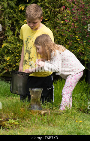 Les jeunes enfants, frère et soeur, étang plongeant ensemble, avec un filet, la faune jardin étang, grand frère, sœur, jouer ensemble, la nature. Banque D'Images