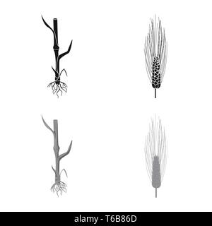 L'orge,tige,root,sols,hiver,printemps,graines,spike,cultiver le blé dur,Culture,randonnée,vert,croissance,feuilles,or,agriculture,agriculture,seigle,plantes,blé,maïs,grain,récolte,ferme,,champ,set,icône,,illustration,collection,isolé,design,graphisme,élément,signe, vecteurs vecteur , Illustration de Vecteur