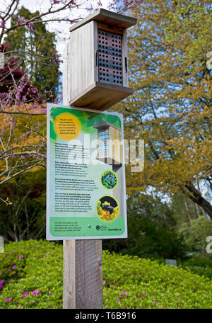 'Bee' condo érigée dans un parc pour Mason bee maison ou l'habitat. L'homme a fait mason bee house at Century Gardens, à Burnaby, en Colombie-Britannique. Banque D'Images