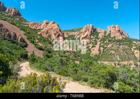 Sentier de randonnée pédestre pour le Pic du Cap Roux dans le Massif de l'Esterel, Antheor, Var, Provence-Alpes-Côte d'Azur, France, Europe Banque D'Images