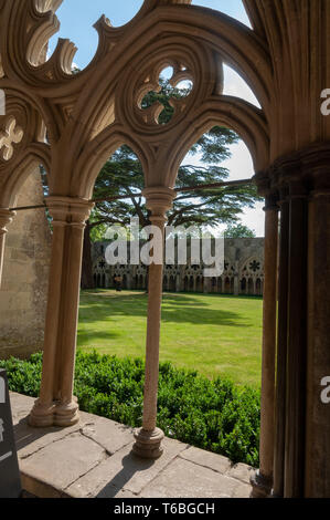 Fenêtre mal du jardin du cloître de l'église cathédrale de la Sainte Vierge Marie, Salisbury, Wiltshire, Angleterre, Royaume-Uni Banque D'Images