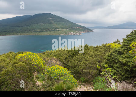 La réserve naturelle de Capo Caccia, un éperon rocheux situé dans un écosystème protégé près de la ville de Alghero, Sardaigne, Italie.. De pittoresques sentiers de randonnée, d Banque D'Images