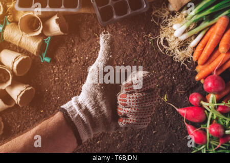 Agriculteur satisfait gesturing Thumbs up plus de légumes bio récoltés produits cultivés dans les serres Banque D'Images