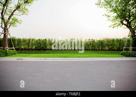 Arbres sur pelouse dans le parc avec un fond de ciel blanc. Banque D'Images