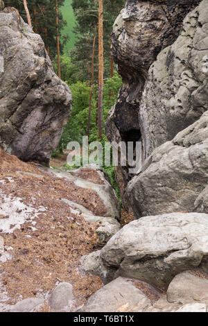 Formation rocheuse Teufelsmauer, Harz, Allemagne Banque D'Images