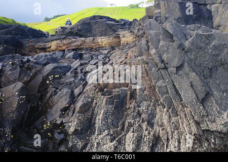 Bas de caisse ignées des orgues basaltiques, géologie de Frères Point (Rubha nam Brathairean) Isle of Skye, Scotland, UK. Banque D'Images