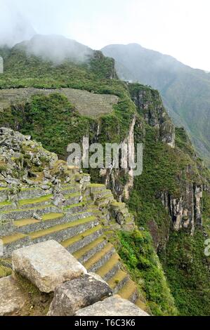 Les terrasses escarpées à Machu Picchu, Pérou Banque D'Images