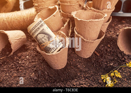 Pot de tourbe biodégradable contenants du sol et de dollars, faisant l'argent des billets et des bénéfices dans la production d'aliments biologiques cultivés localement Banque D'Images