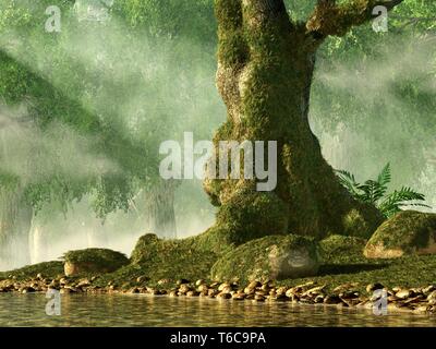 Un vieux tordu, couverts de mousse Oak tree se trouve sur les rochers du littoral d'un cours d'eau dans un lieu clos. La lumière du soleil perce le couvert forestier et éclaire l' Banque D'Images