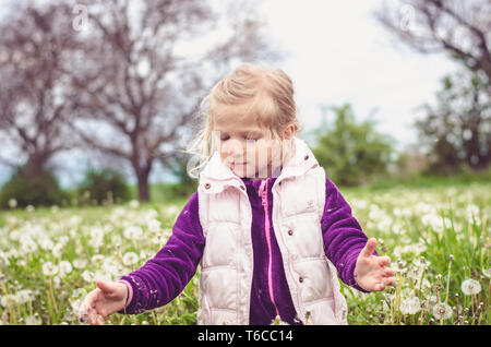 Adorable petite fille blonde s'amusant en champ de pissenlit printemps Banque D'Images