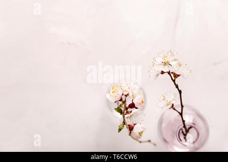 Deux petits vases de verre moderne avec des branches d'arbres en fleurs sur un fond texturé gris clair. Haut de la vue, télévision lay, copy space Banque D'Images