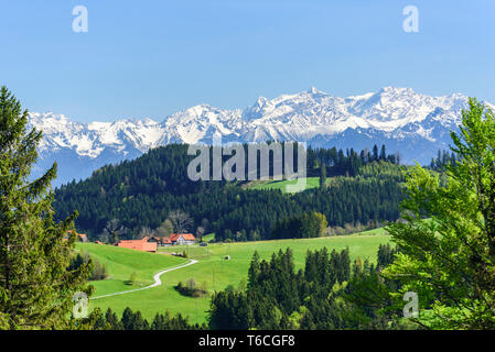 Paysage typique dans l'est de la Suisse Banque D'Images