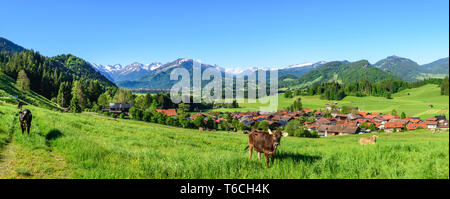 Nature printemps dans la haute montagne de l'Allgäu Oberstdorf Banque D'Images