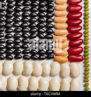 Geometric pattern bean. Les légumineuses multicolores de textures. Banque D'Images