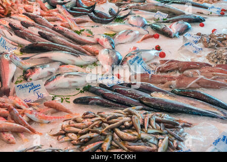 Poissons et fruits de mer frais vu à un marché à Palerme, Sicile Banque D'Images
