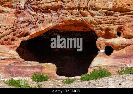 La formation de la terre dans un Mughar Nassar situé dans la partie orientale de Petra. La Jordanie. Banque D'Images