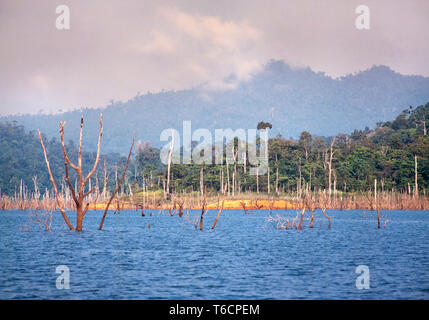 Des forêts tropicales inondées, le lac Kenyir, Pahang, Malaisie. Banque D'Images