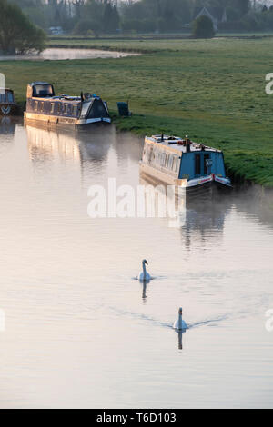 Les cygnes et Narrowboats sur la tamise au lever du soleil au printemps. Lechlade on Thames, Cotswolds, Gloucestershire, Angleterre Banque D'Images