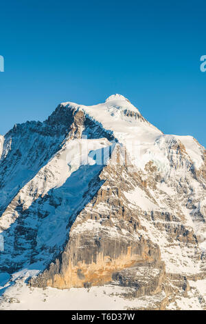 Mont Jungrau, Berner Oberland, canton de Berne, Suisse. Banque D'Images