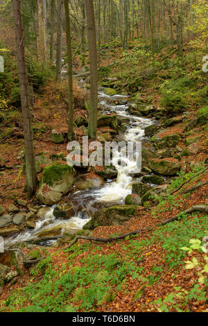 L'allemand à l'automne waterwall Banque D'Images