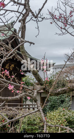 TOKYO, JAPON - Février 8, 2019 : Gojoten à Inari Hanazono shrine à Ueno Park Banque D'Images