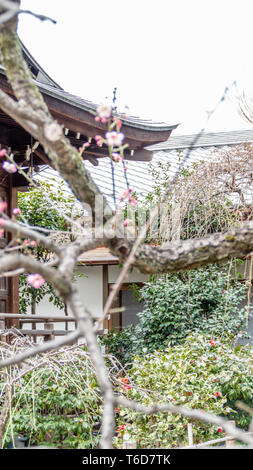 TOKYO, JAPON - Février 8, 2019 : Gojoten à Inari Hanazono shrine à Ueno Park Banque D'Images