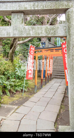 TOKYO, JAPON - Février 8, 2019 : Torii tunnel menant à Inari Jinja et Gojoten Hanazono jinja à Ueno Park. Banque D'Images