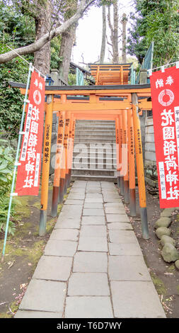 TOKYO, JAPON - Février 8, 2019 : Torii tunnel menant à Inari Jinja et Gojoten Hanazono jinja à Ueno Park. Banque D'Images