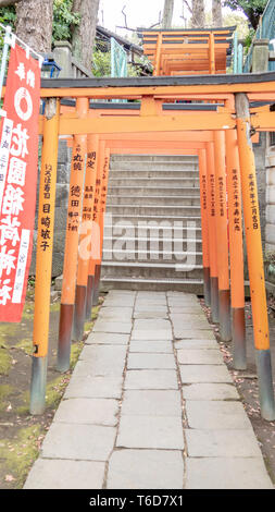 TOKYO, JAPON - Février 8, 2019 : Torii tunnel menant à Inari Jinja et Gojoten Hanazono jinja à Ueno Park. Banque D'Images