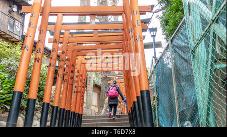 TOKYO, JAPON - Février 8, 2019 : Torii tunnel menant à Inari Jinja et Gojoten Hanazono jinja à Ueno Park. Banque D'Images