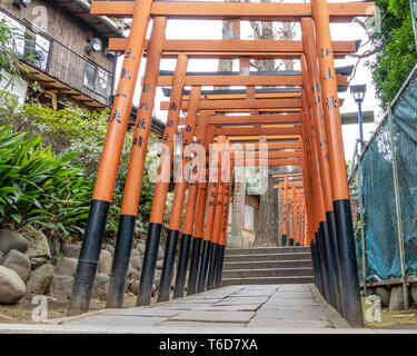 TOKYO, JAPON - Février 8, 2019 : Torii tunnel menant à Inari Jinja et Gojoten Hanazono jinja à Ueno Park. Banque D'Images