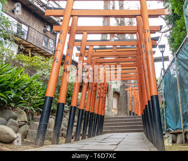 TOKYO, JAPON - Février 8, 2019 : Torii tunnel menant à Inari Jinja et Gojoten Hanazono jinja à Ueno Park. Banque D'Images